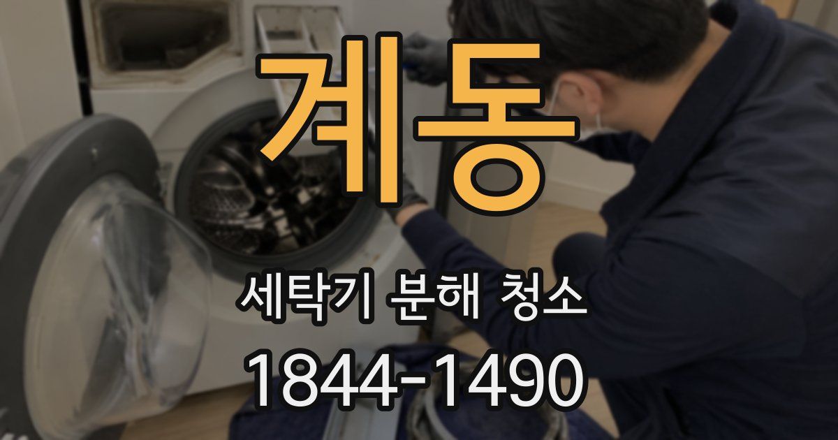 계동 세탁기 분해 청소