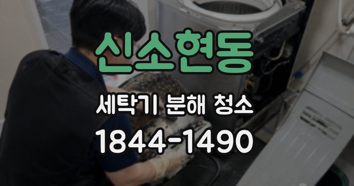 신소현동 세탁기 분해 청소