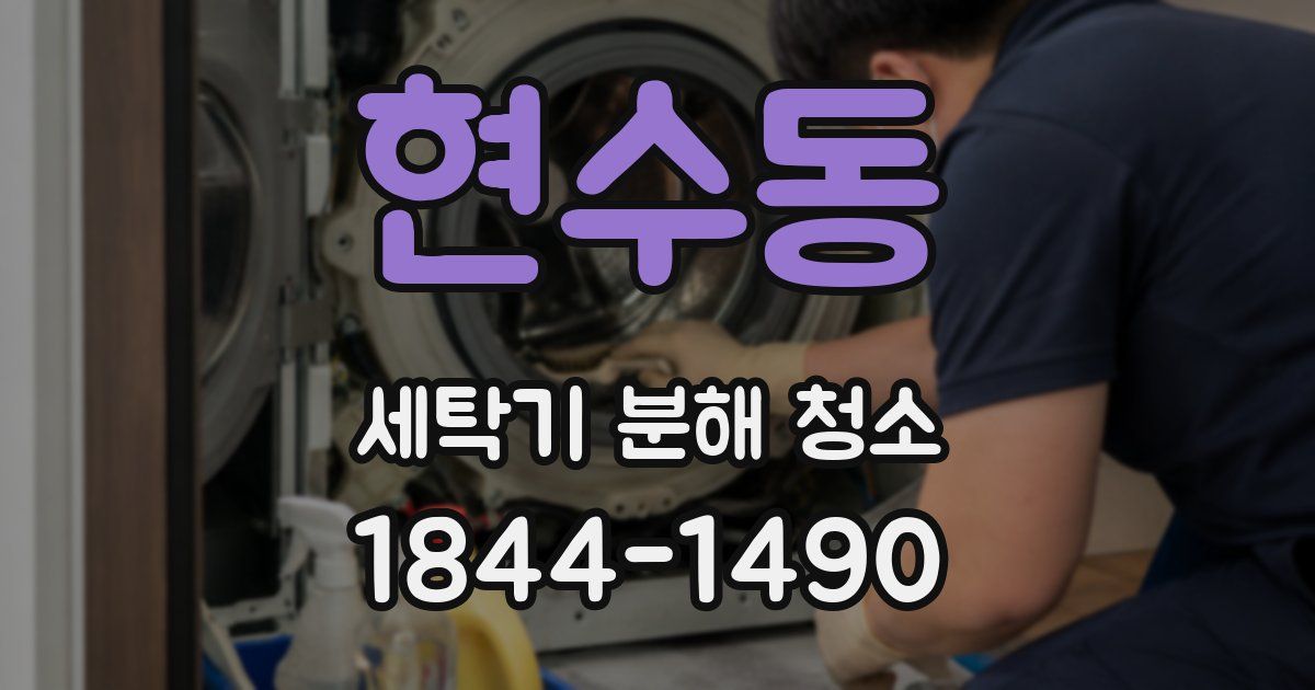 현수동 세탁기 분해 청소