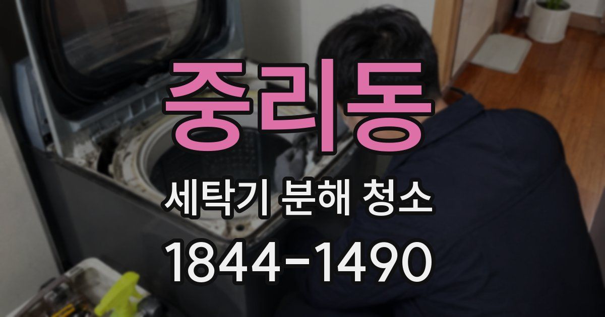 중리동 세탁기 분해 청소