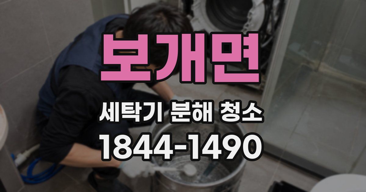 보개면 세탁기 분해 청소