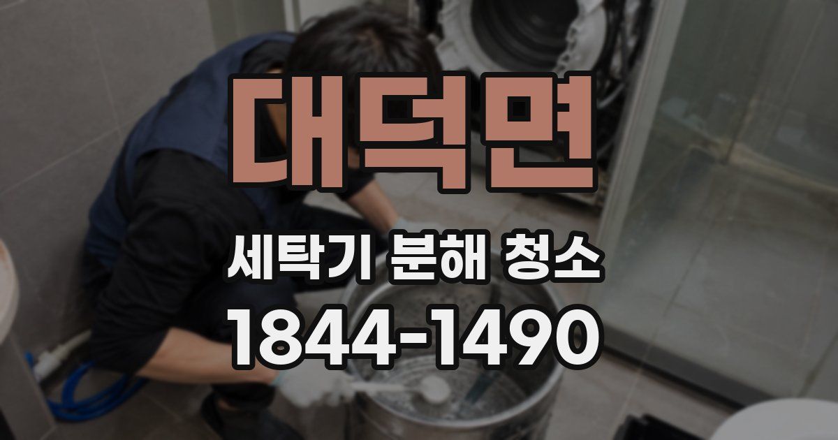 대덕면 세탁기 분해 청소
