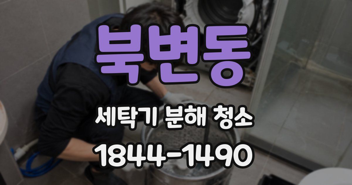 북변동 세탁기 분해 청소