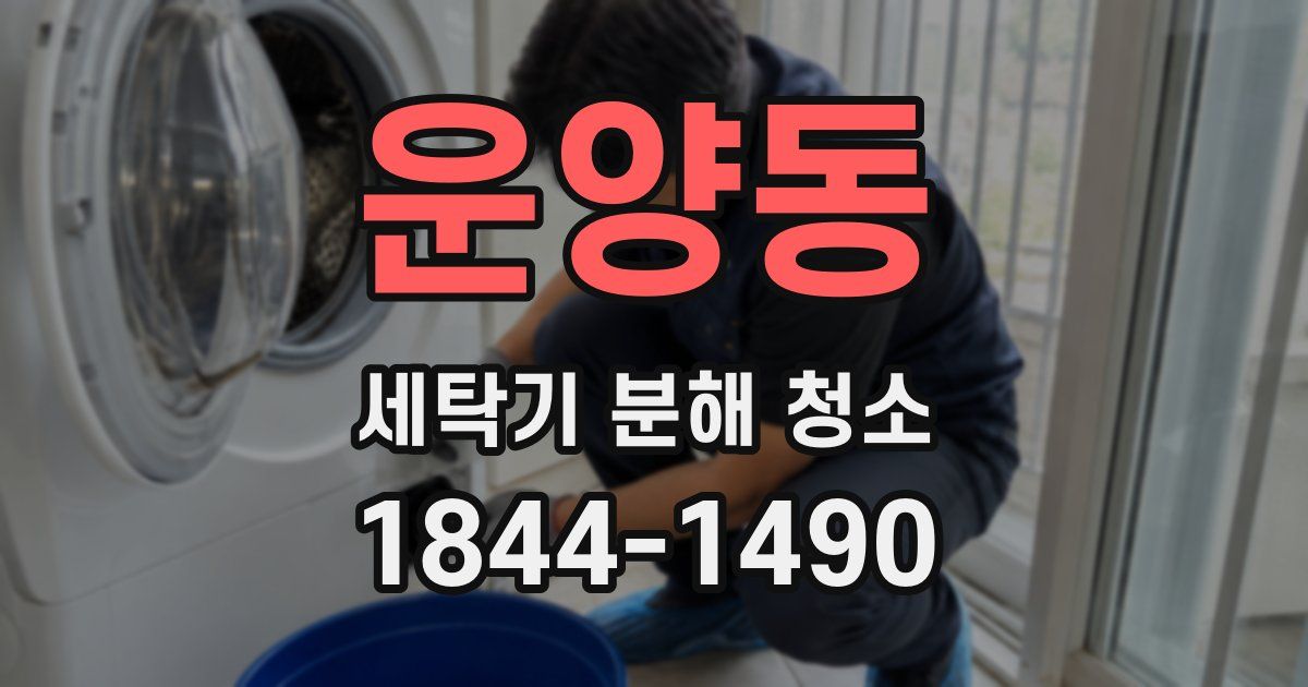 운양동 세탁기 분해 청소
