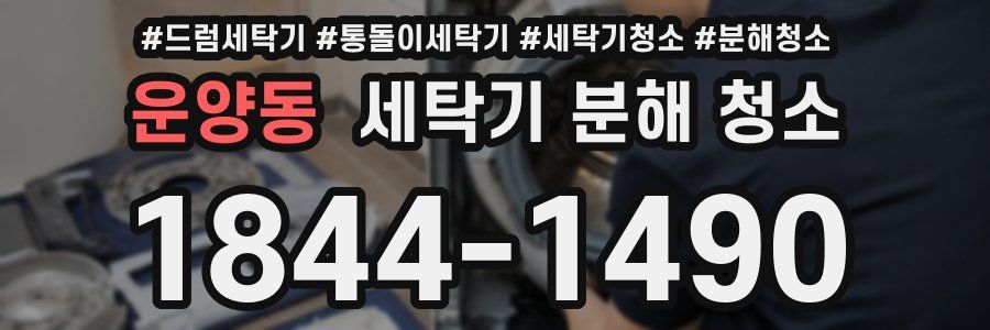 운양동 세탁기 분해 청소