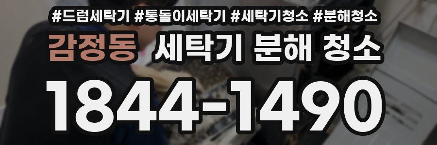 감정동 세탁기 분해 청소