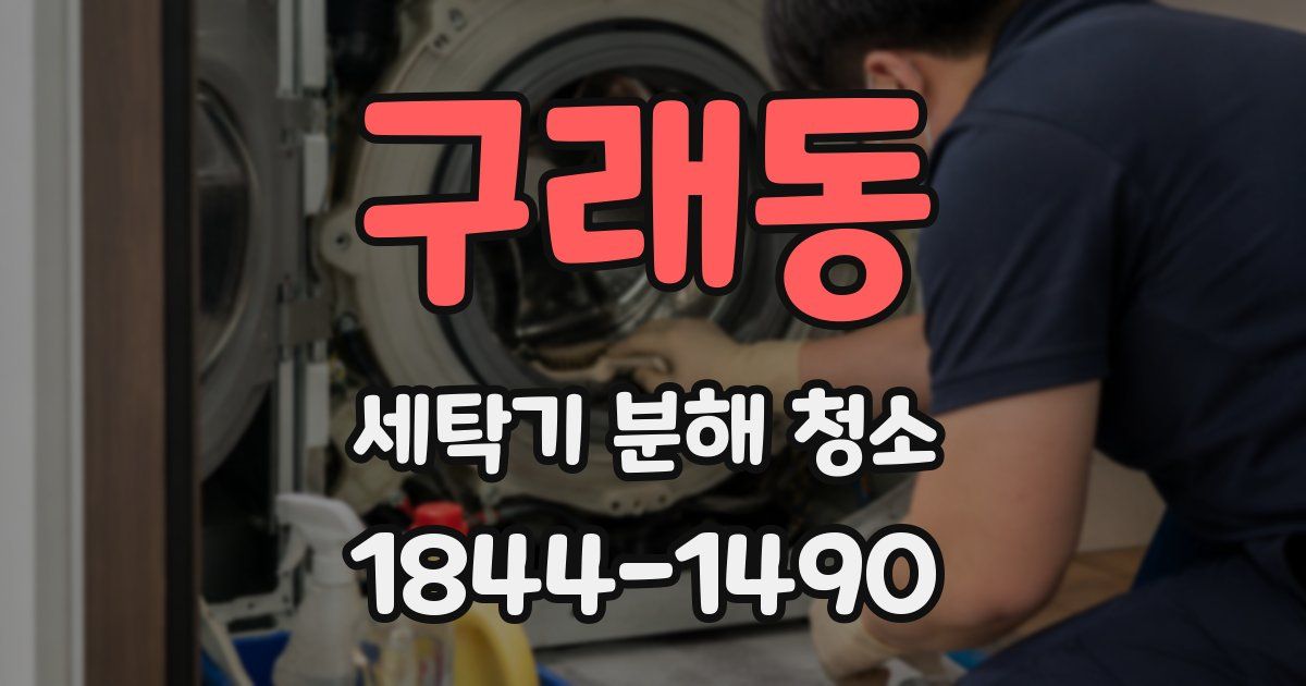 구래동 세탁기 분해 청소
