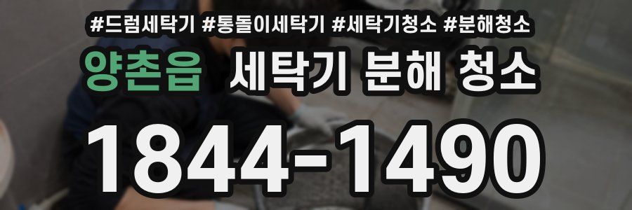 양촌읍 세탁기 분해 청소