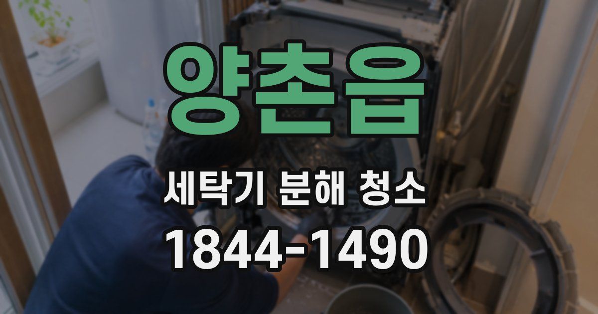 양촌읍 세탁기 분해 청소