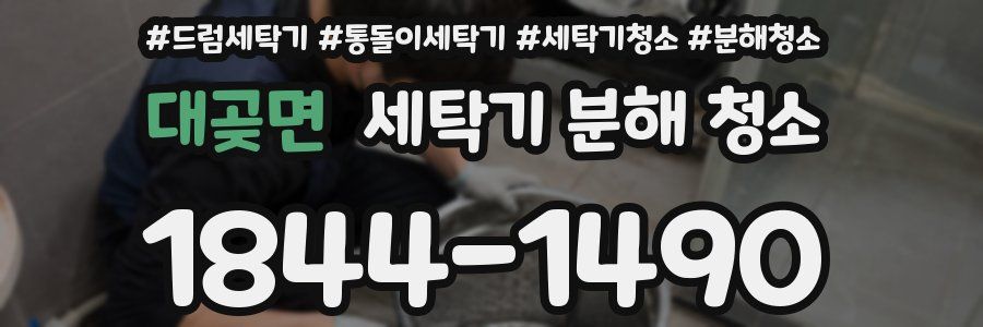 대곶면 세탁기 분해 청소