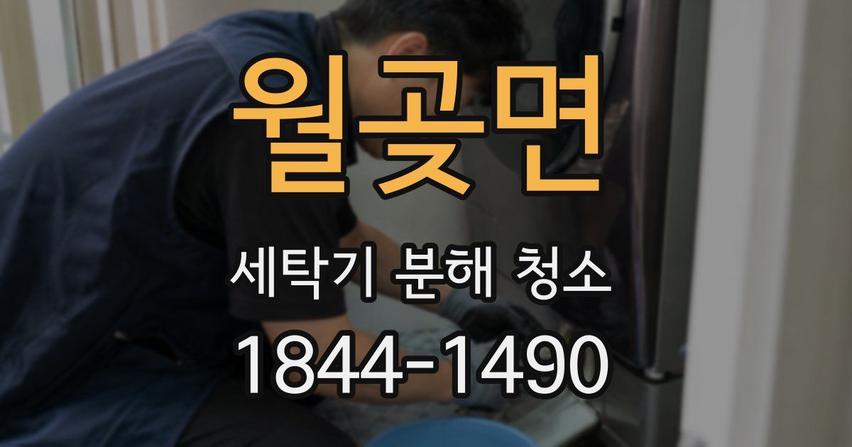 월곶면 세탁기 분해 청소