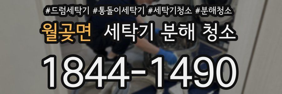 월곶면 세탁기 분해 청소