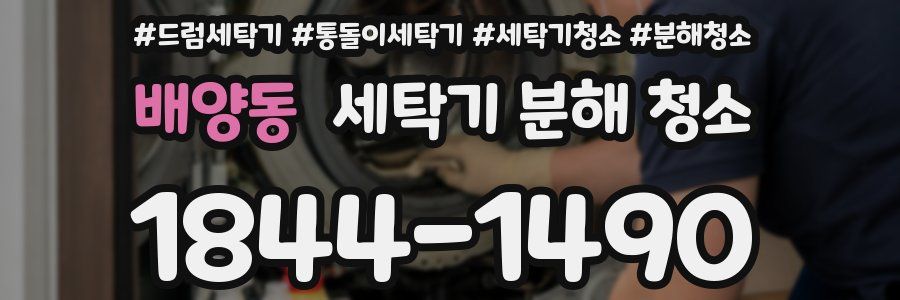 배양동 세탁기 분해 청소