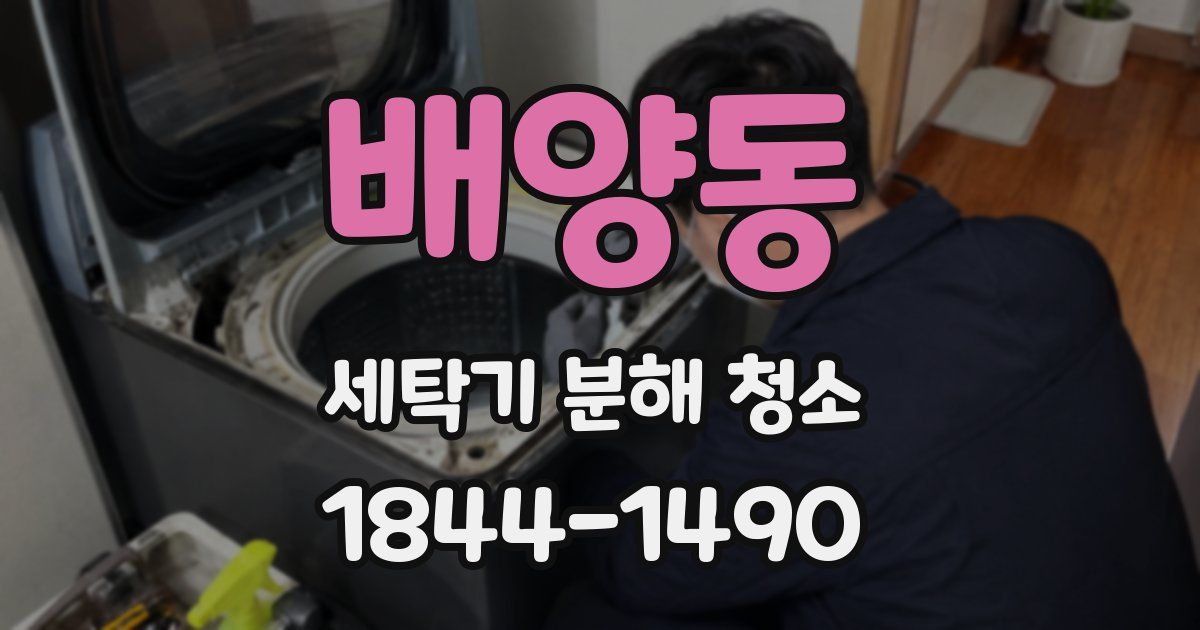 배양동 세탁기 분해 청소