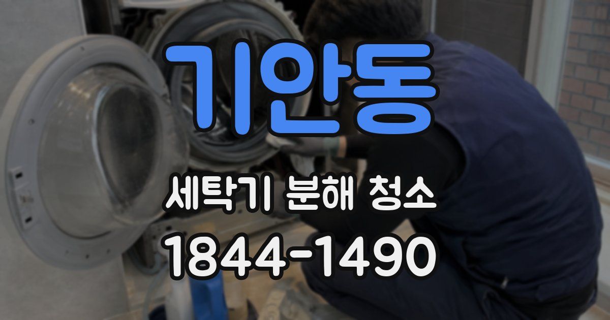 기안동 세탁기 분해 청소