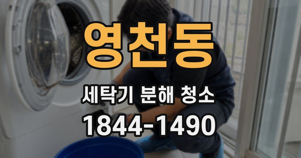영천동 세탁기 분해 청소