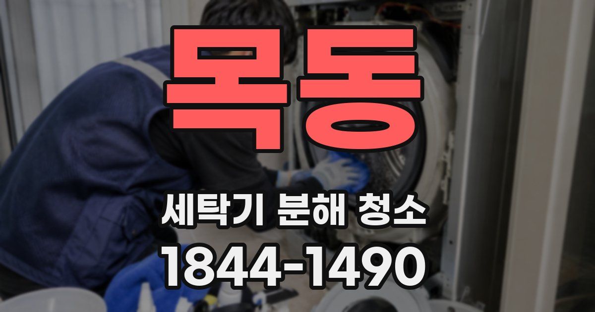 목동 세탁기 분해 청소
