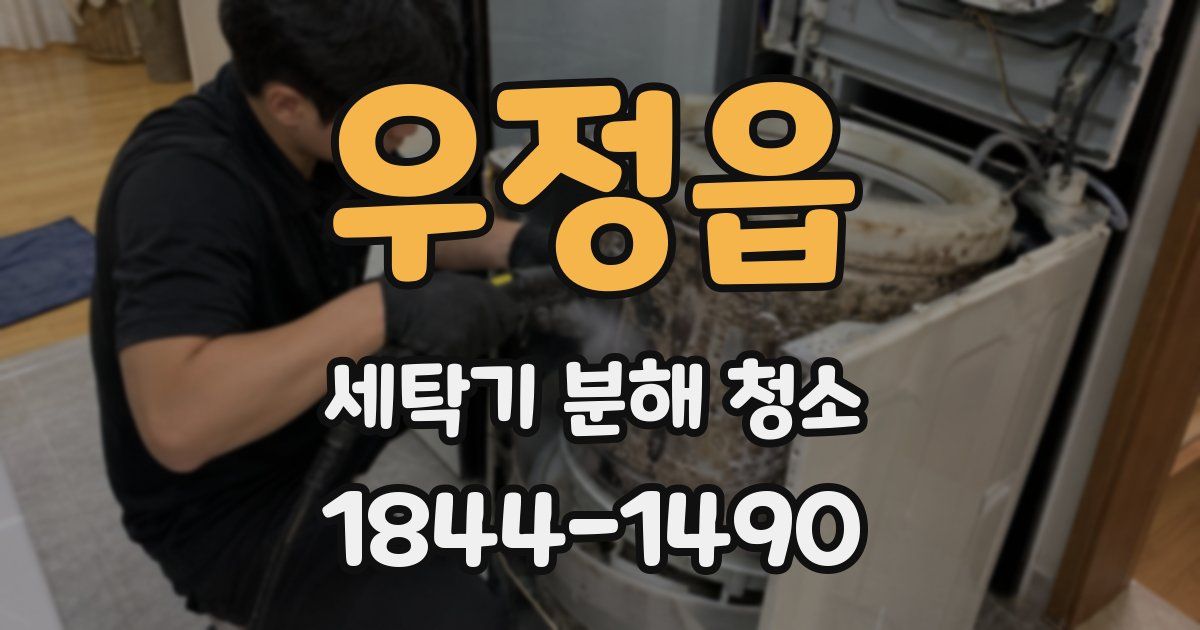 우정읍 세탁기 분해 청소