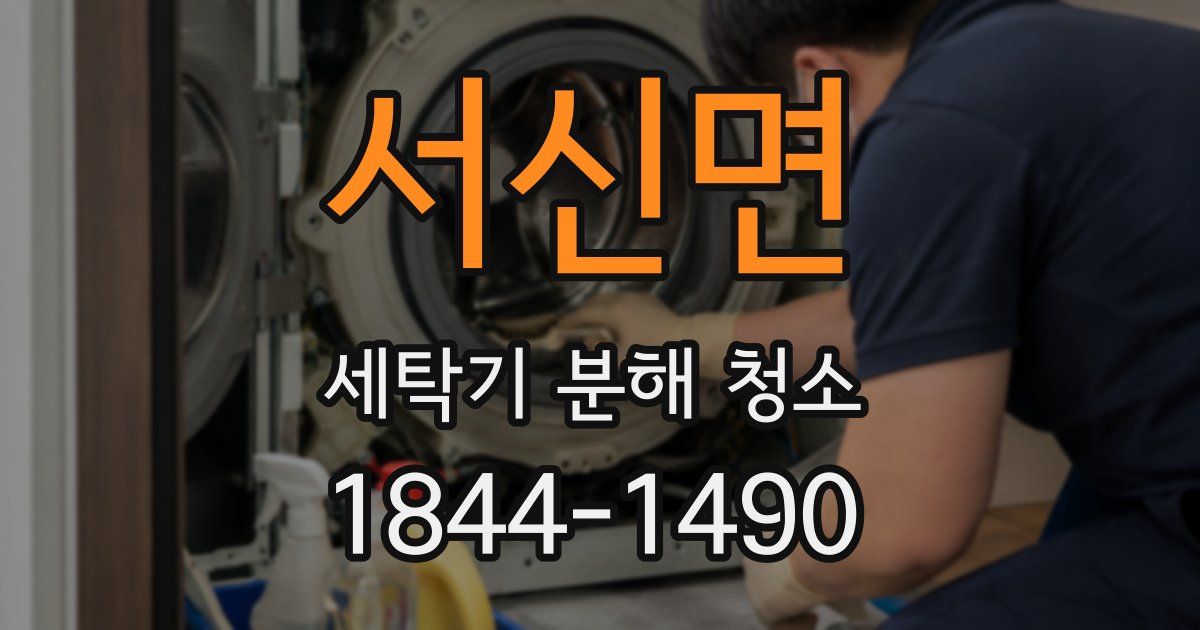 서신면 세탁기 분해 청소