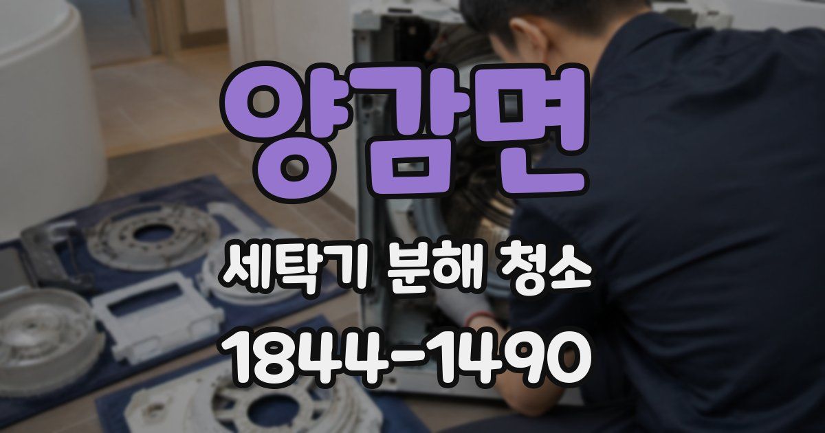 양감면 세탁기 분해 청소