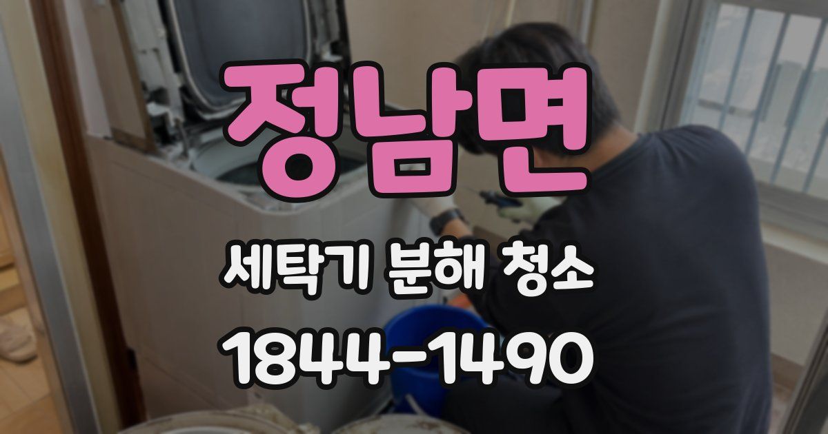 정남면 세탁기 분해 청소
