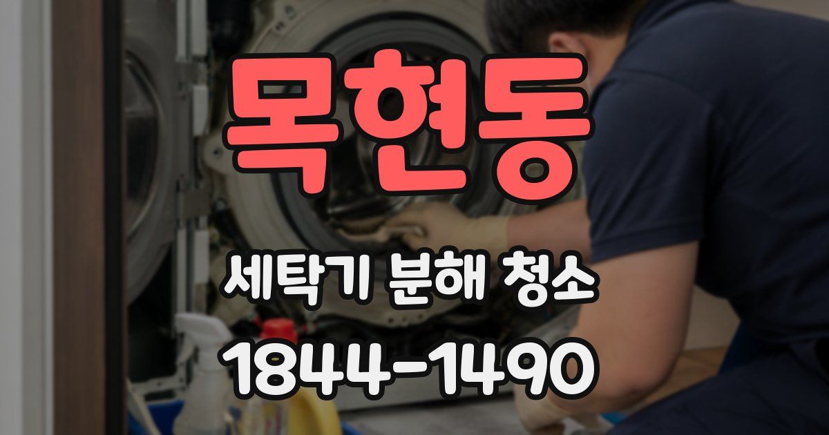 목현동 세탁기 분해 청소