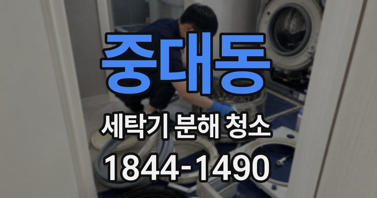 중대동 세탁기 분해 청소