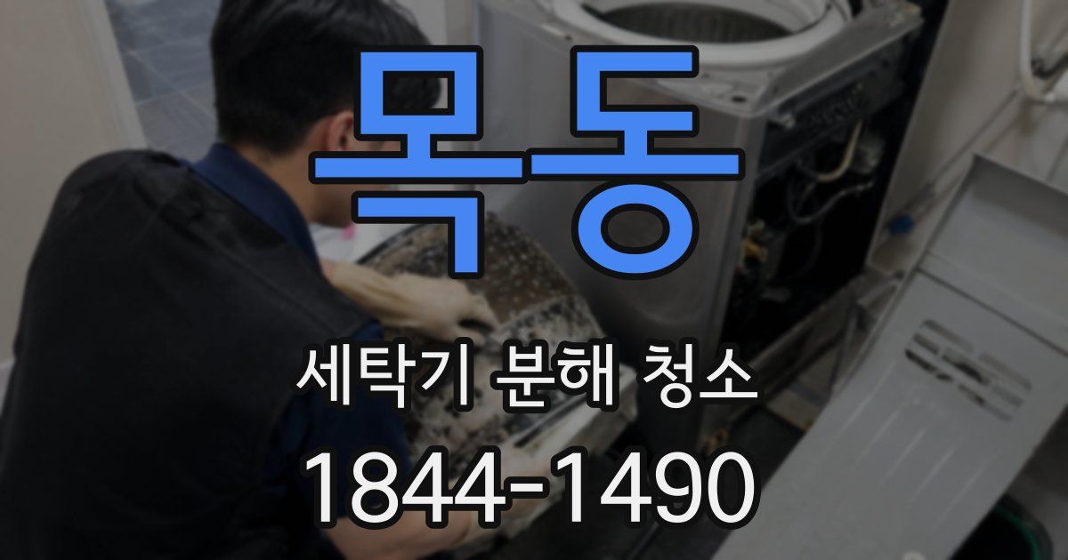 목동 세탁기 분해 청소