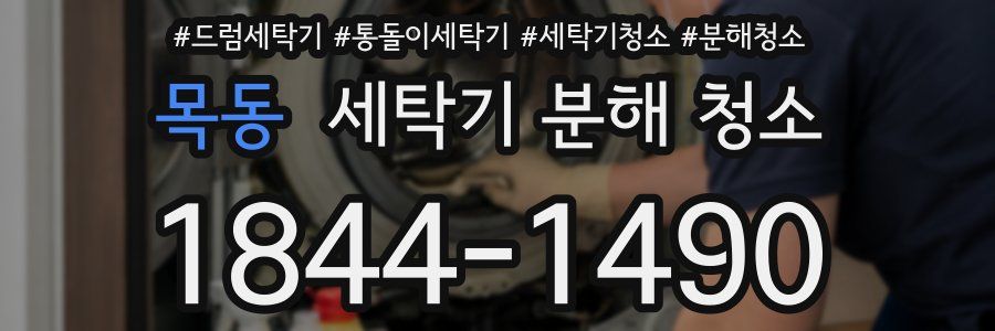 목동 세탁기 분해 청소