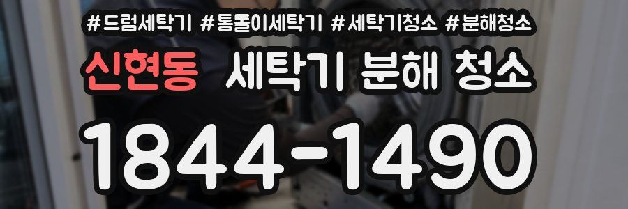 신현동 세탁기 분해 청소