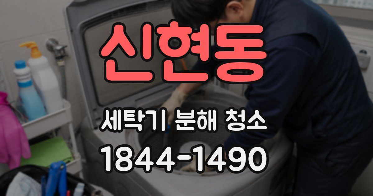 신현동 세탁기 분해 청소