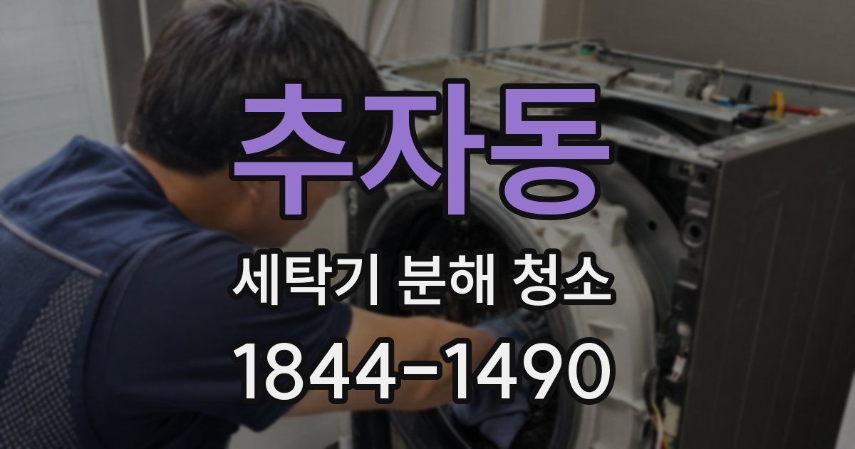 추자동 세탁기 분해 청소