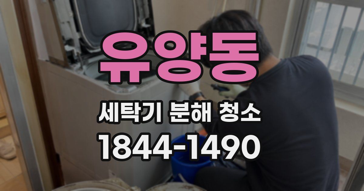유양동 세탁기 분해 청소