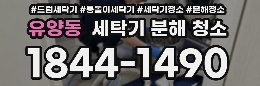 유양동 세탁기 분해 청소