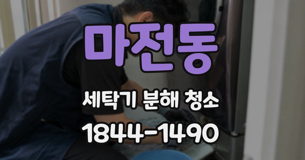 마전동 세탁기 분해 청소