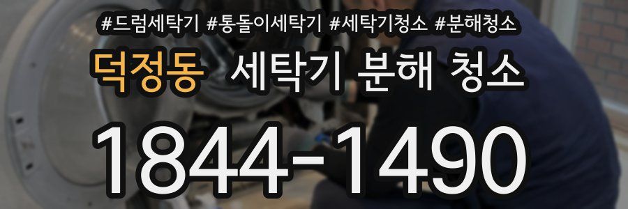 덕정동 세탁기 분해 청소