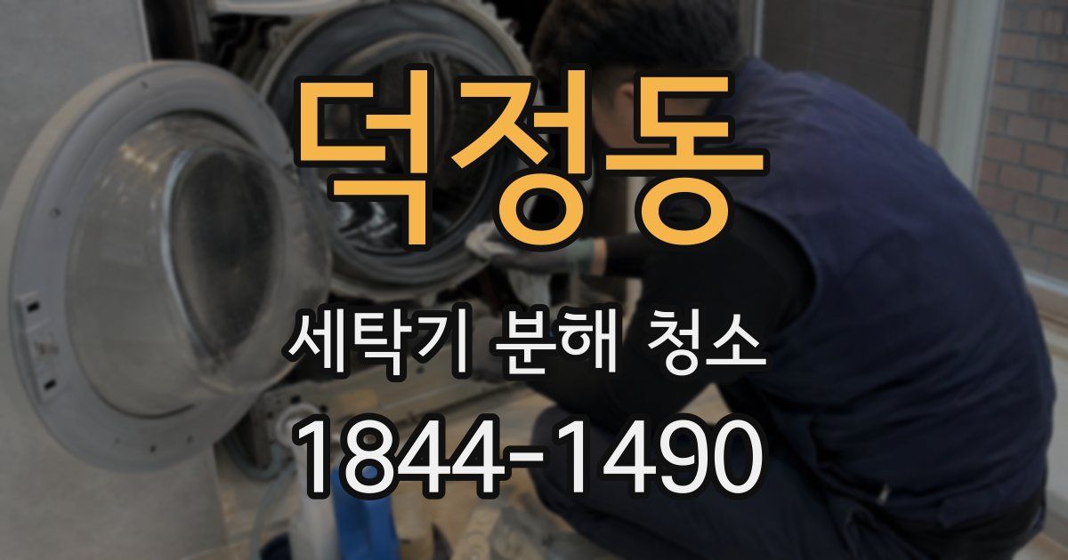 덕정동 세탁기 분해 청소