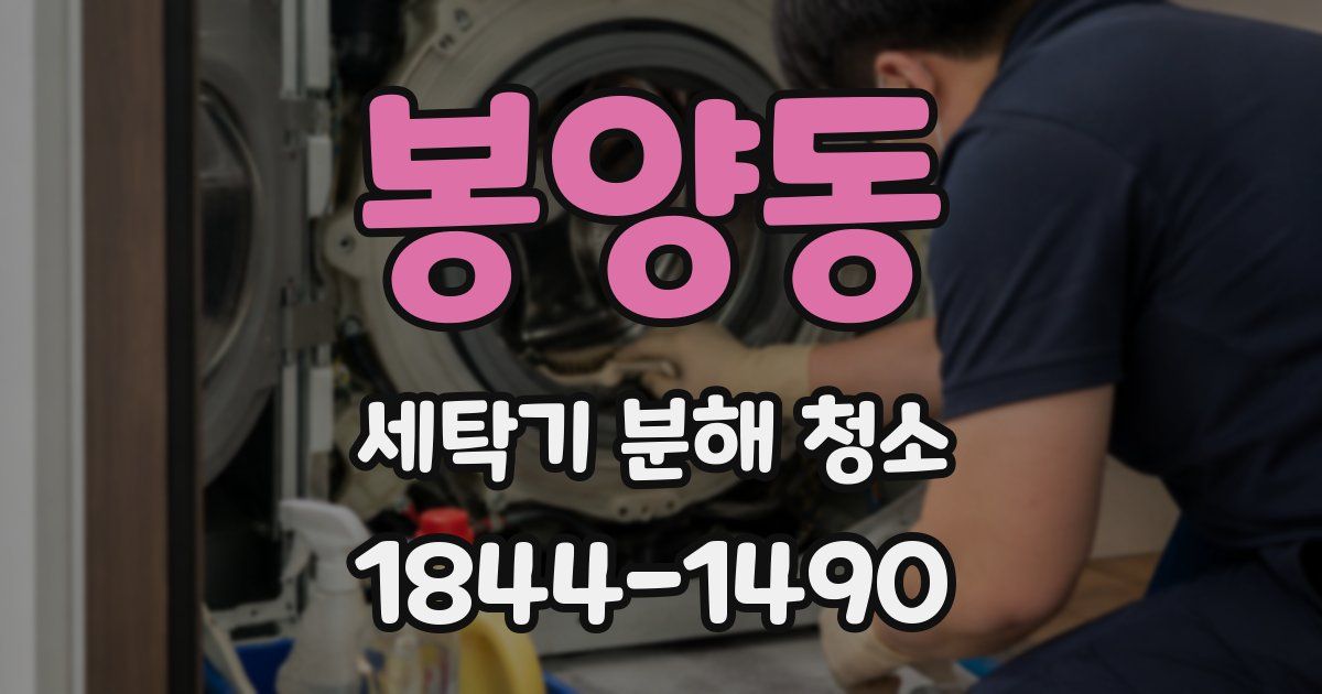 봉양동 세탁기 분해 청소