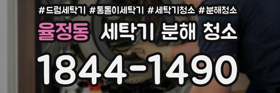 율정동 세탁기 분해 청소