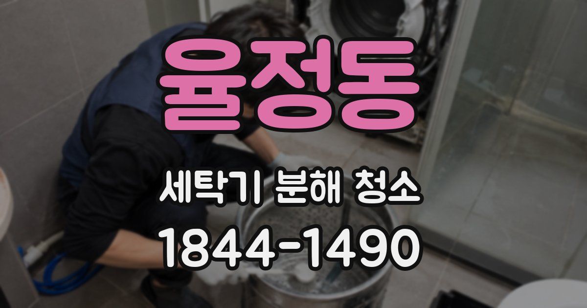 율정동 세탁기 분해 청소