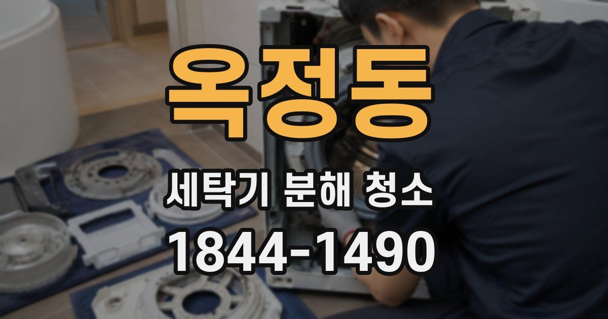 옥정동 세탁기 분해 청소