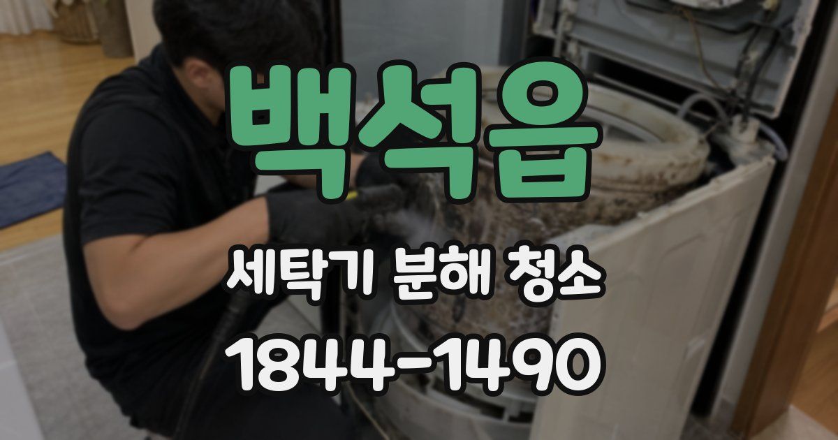 백석읍 세탁기 분해 청소