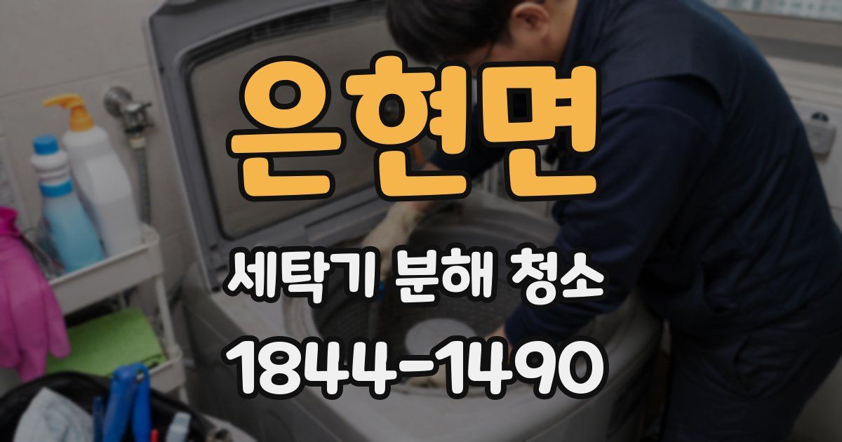 은현면 세탁기 분해 청소