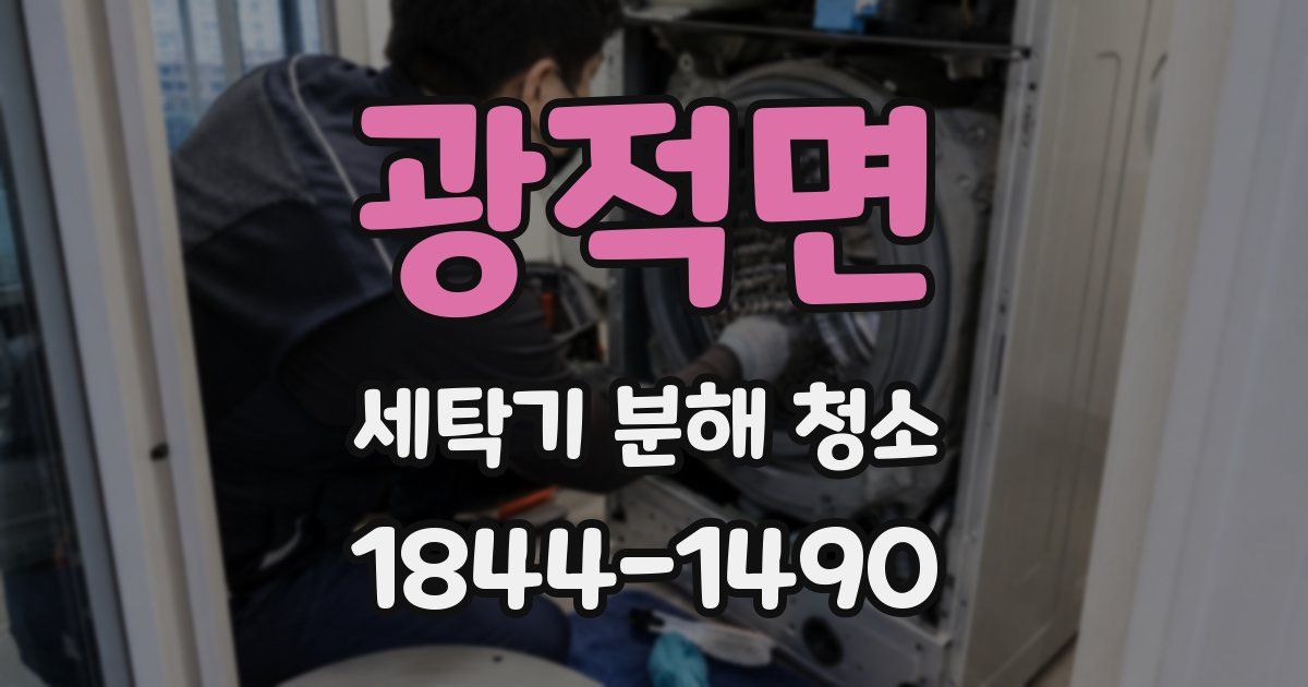광적면 세탁기 분해 청소