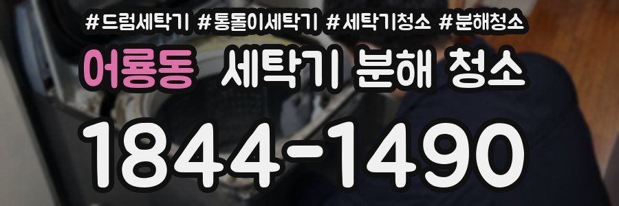 어룡동 세탁기 분해 청소