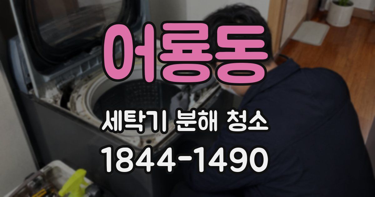 어룡동 세탁기 분해 청소