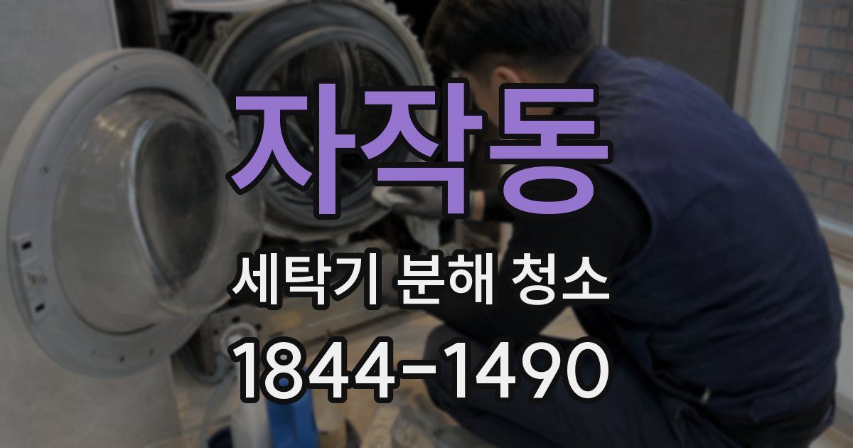 자작동 세탁기 분해 청소