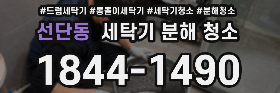 선단동 세탁기 분해 청소