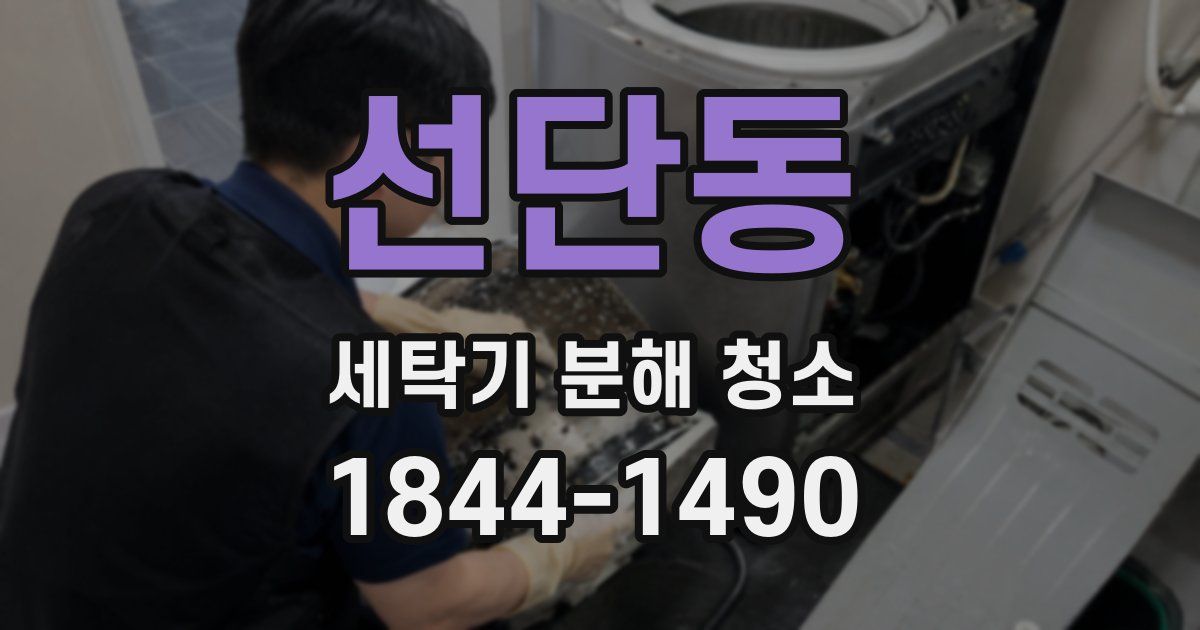 선단동 세탁기 분해 청소
