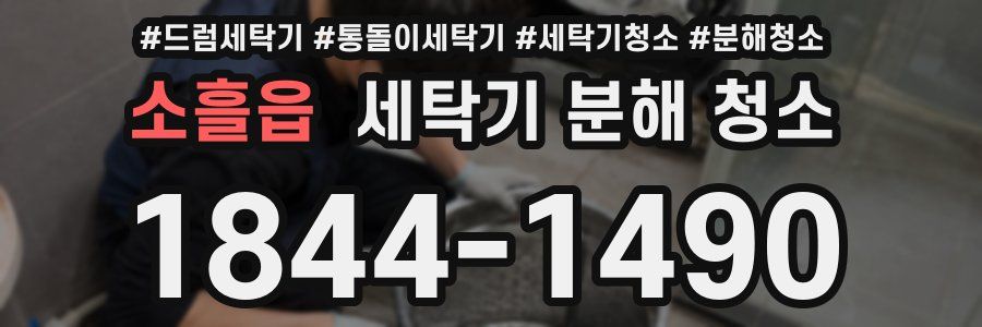 소흘읍 세탁기 분해 청소